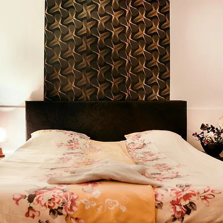 Otel Stars 2*